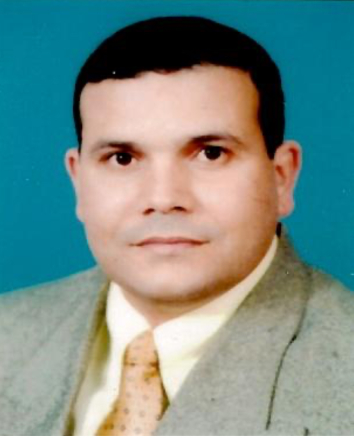 صورة إبراهيم السيد البطل​